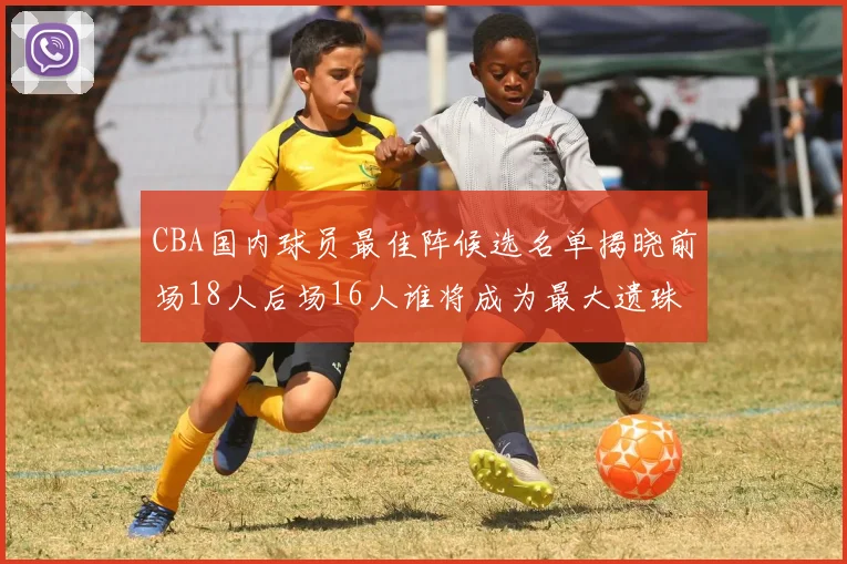 CBA国内球员最佳阵候选名单揭晓前场18人后场16人谁将成为最大遗珠